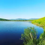 Зеркальный
