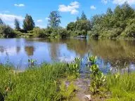 Лотос