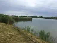 Липов лог