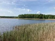 Карпинвест