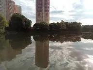 Белый Карп