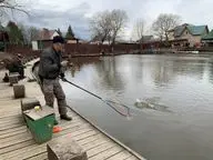 Усадьба соколиное гнездо