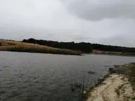 Сомовский