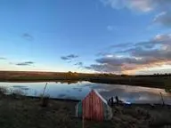 Золотая рыбка (тульский)