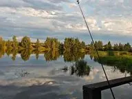 Синец Русская рыбалка