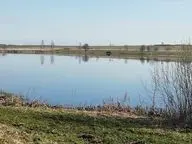 9 Карпов