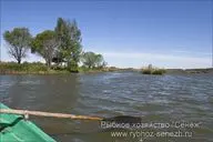 Рыбхоз Сенеж