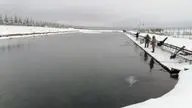 Калужская форель
