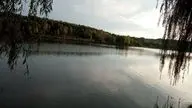 Зубари