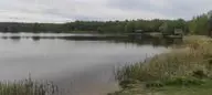 Три медведя