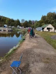 Мисайлово Trout