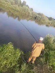 Сорочье