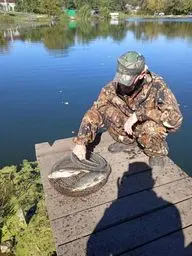 Дубки