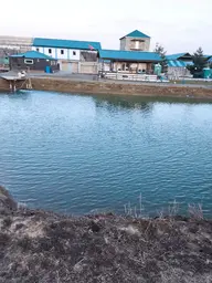 Вашутино